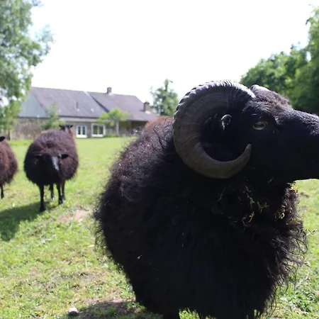 Campagnard Pres Du Mans - Calme, Confort Et Commodites A Proximite - Fr-1-410-327