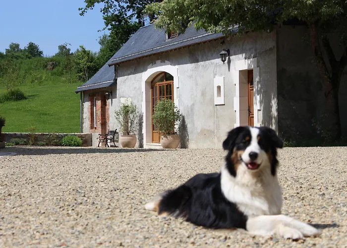 Campagnard Pres Du Mans - Calme, Confort Et Commodites A Proximite - Fr-1-410-327 Semesterbostad