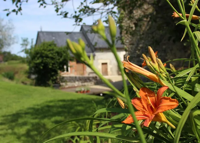 Campagnard Pres Du Mans - Calme, Confort Et Commodites A Proximite - Fr-1-410-327 Semesterbostad Cérans-Foulletourte