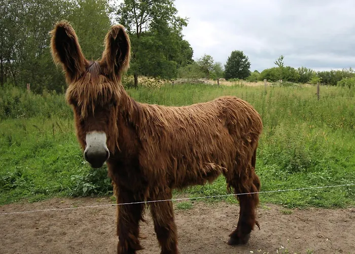 Campagnard Pres Du Mans - Calme, Confort Et Commodites A Proximite - Fr-1-410-327 Semesterbostad Cérans-Foulletourte