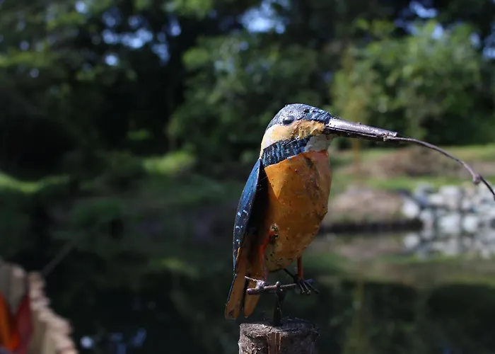 Campagnard Pres Du Mans - Calme, Confort Et Commodites A Proximite - Fr-1-410-327 *